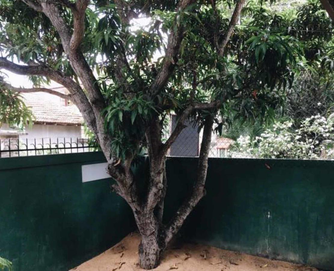 Hi Lanka Hostel Negombo Exterior photo
