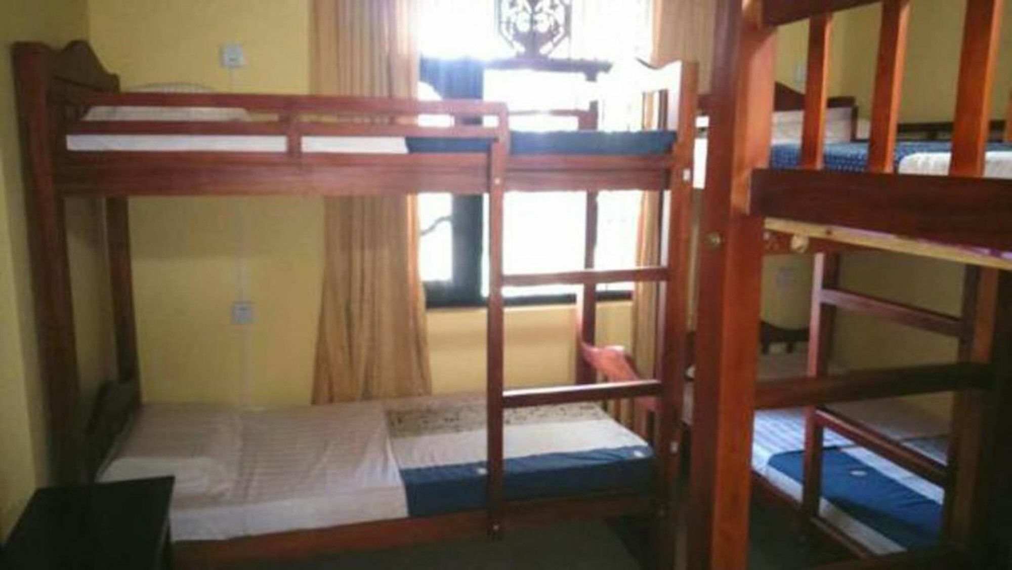 Hi Lanka Hostel Negombo Exterior photo